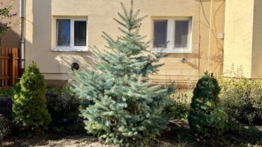 3 izbový byt s vlastným parkovacím miestom v centre mesta Želiezovce