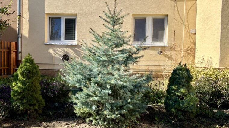 3 izbový byt s vlastným parkovacím miestom v centre mesta Želiezovce