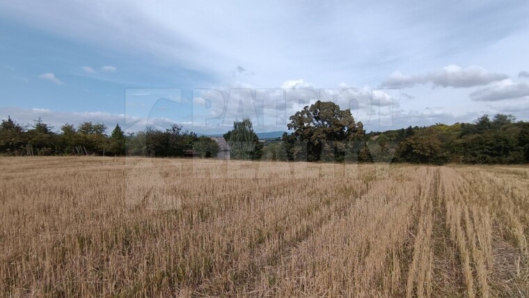 Predaj pozemku , časť Staré Levice , 4519 m2 , Levice