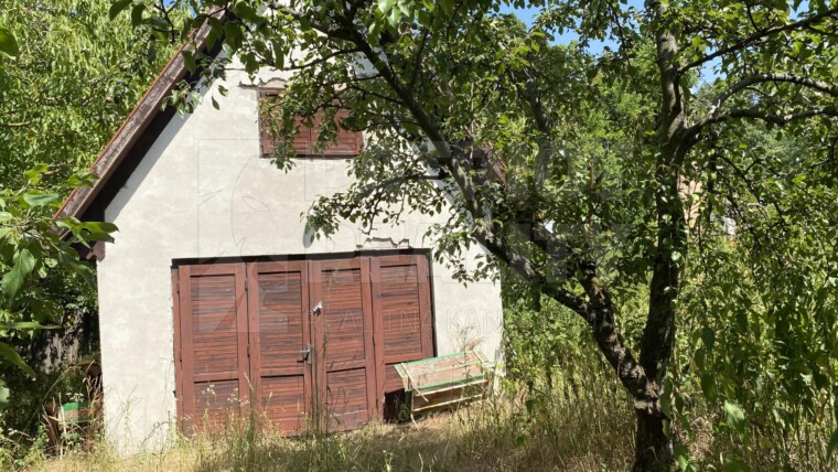 Vinica s chatkou na predaj v lokalite Staré Levice – Vápnik (Šiklóš)