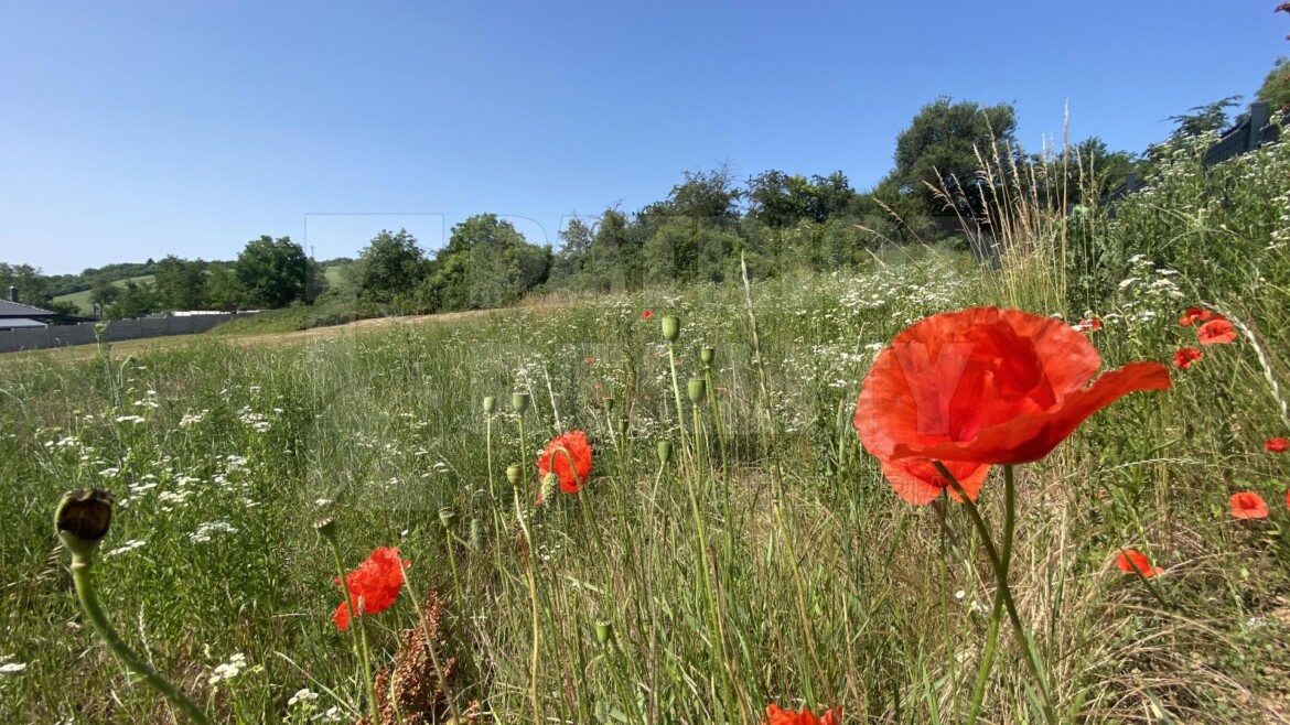 Stavebný pozemok s projektovou dokumentáciou – Levice, časť Kalinčiakovo.