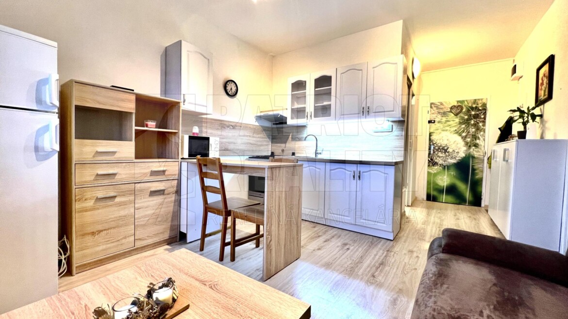 REZERVOVANÝ. 1 izbový klimatizovaný byt s balkónom po kompletnej rekonštrukcii