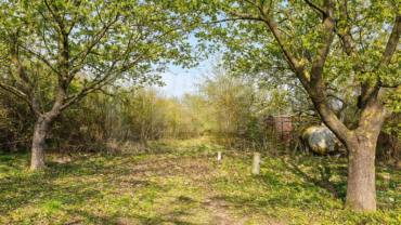 Viničný pozemok s klenbovou pivnicou v pokojnej vinohradníckej lokalite