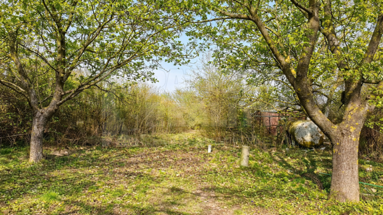 Viničný pozemok s klenbovou pivnicou v pokojnej vinohradníckej lokalite