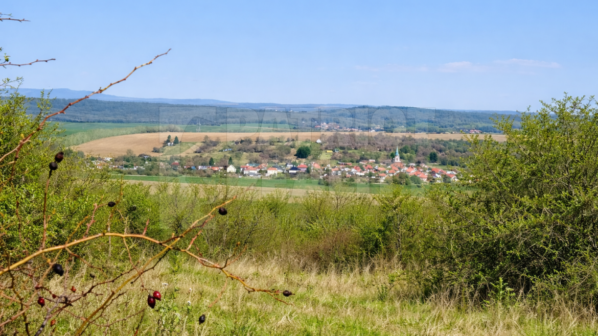 Na predaj viničný pozemok s klenbovou pivnicou a krásnym výhľadom