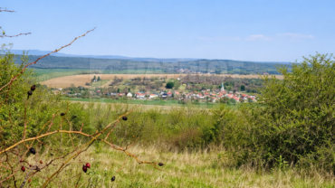 Na predaj viničný pozemok s klenbovou pivnicou a krásnym výhľadom