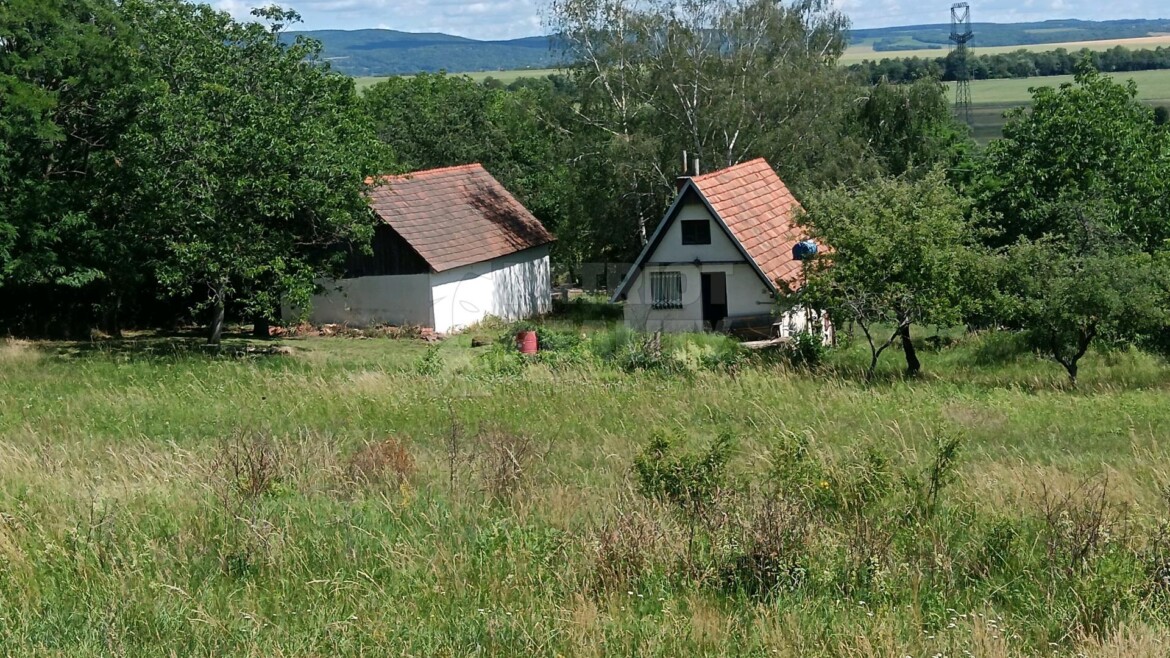 Viničný dom s vyše hektárovým pozemkom , Devičany, 10905 m2