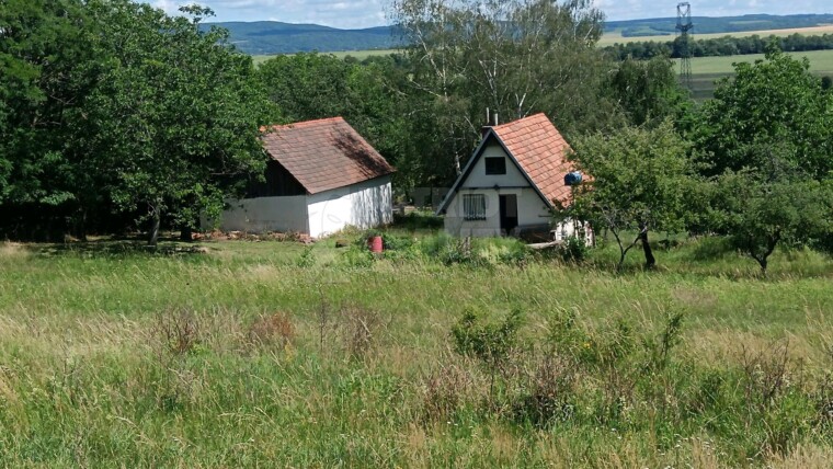 Viničný dom s vyše hektárovým pozemkom , Devičany, 10905 m2